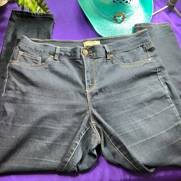 📌d. jeans 5 Pocket Skinny Plus Size Cotton Blend Jeans - Picture 2 of 16